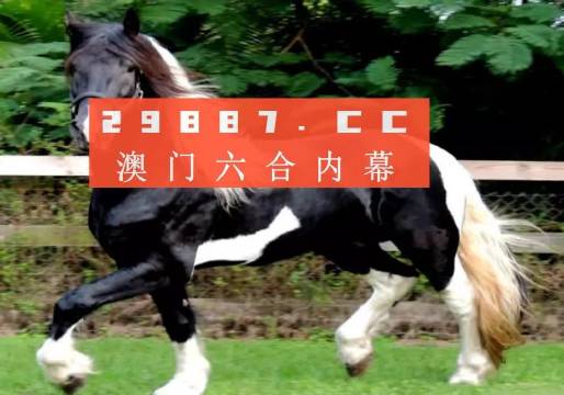 澳门和香港一肖一码一一特一中,词语释义解释与落实展望