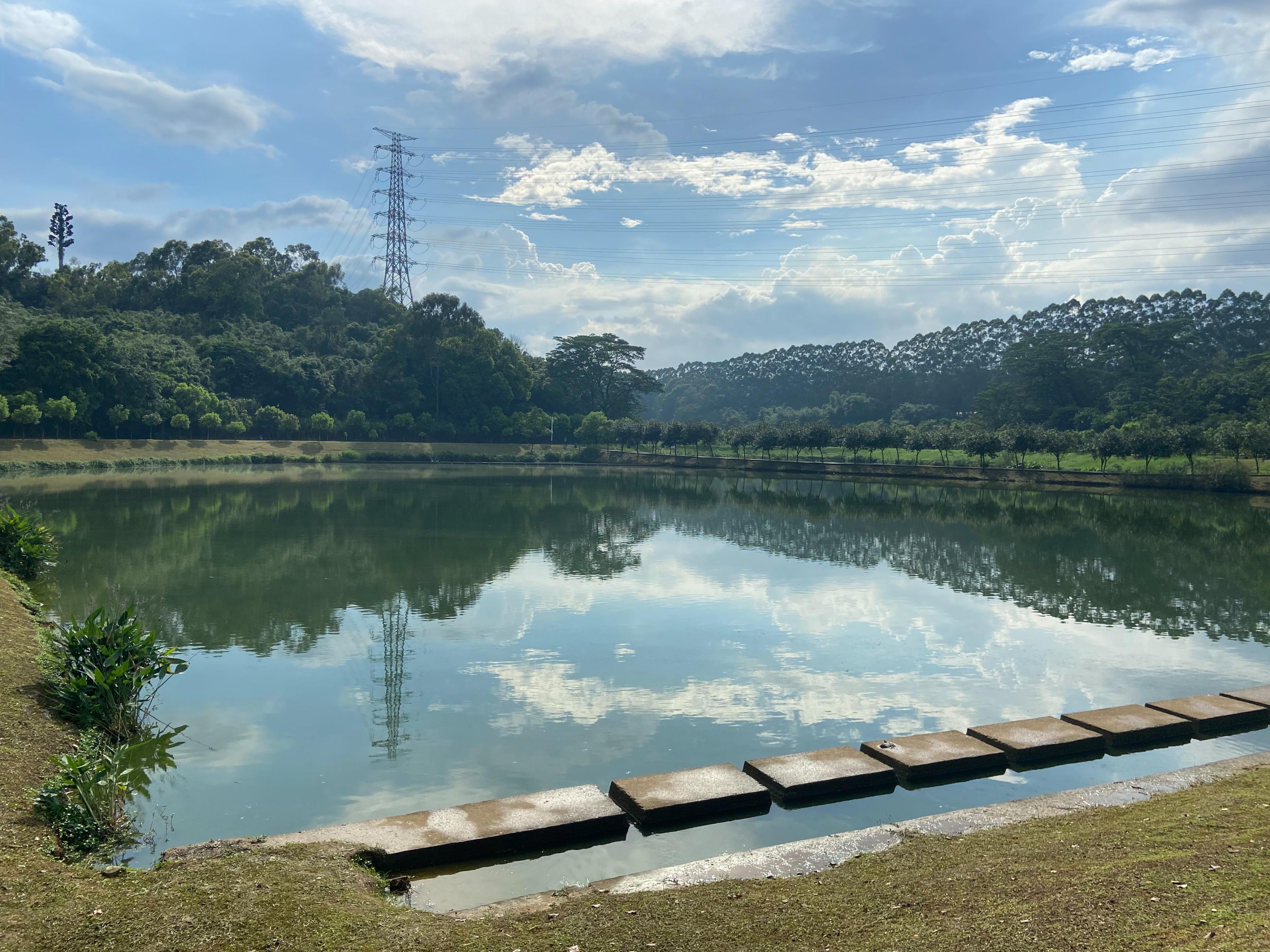 东莞同沙生态公园最新