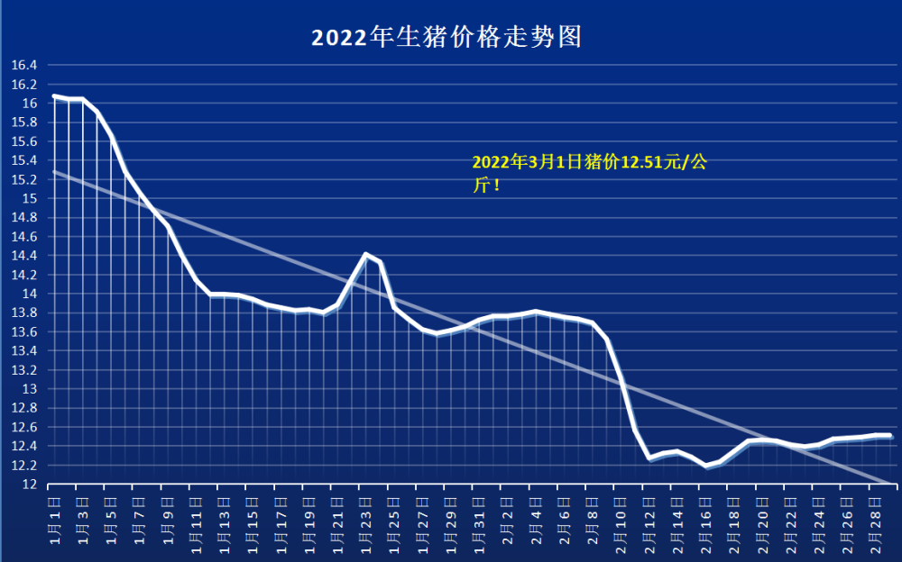 全国猪价格最新行情走势