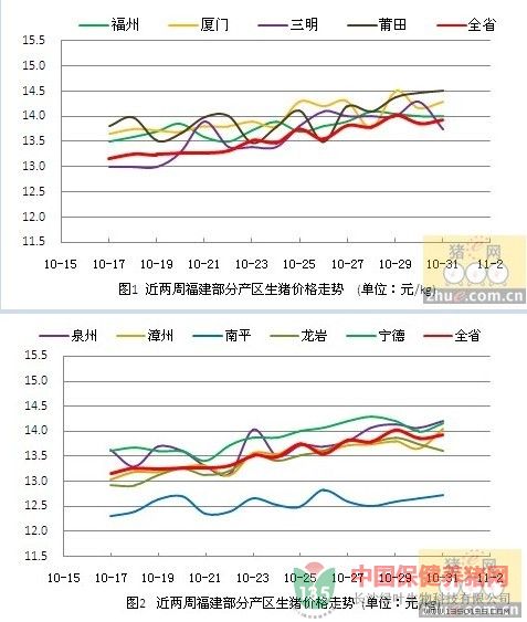 福建猪肉最新价格今日价