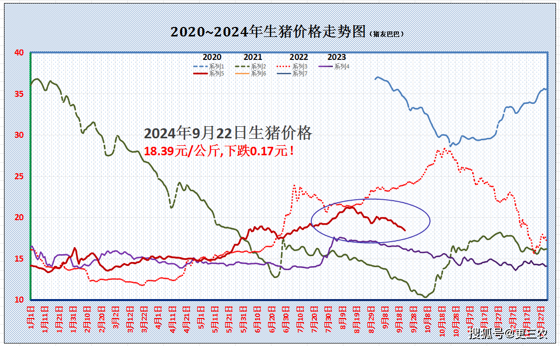 现在生猪市场最新价格